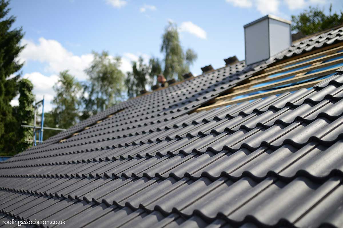 New roof cost UK
